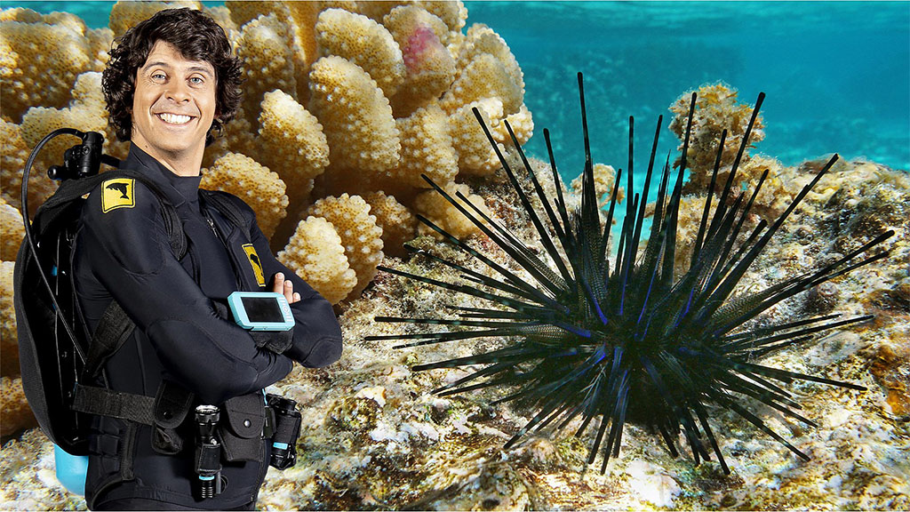 BBC科普英语真人动画Andy's Aquatic Adventures安迪的海底探险，适合0-10岁，全2季共30集，1080P高清视频带英文字幕，百度网盘下载！